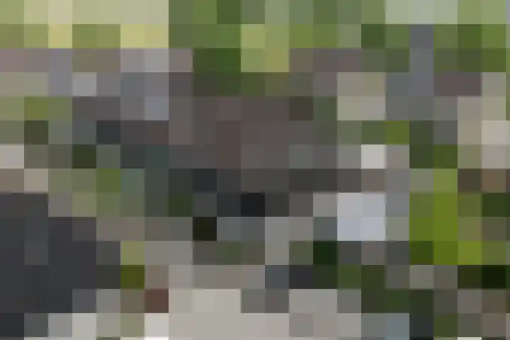 Betsy Perkstraat 16 in Alphen aan den Rijn