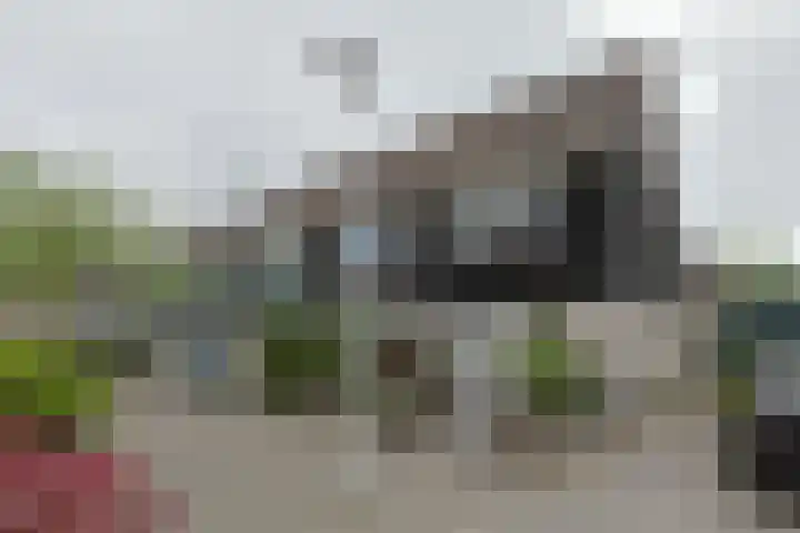 Betsy Perkstraat 16 Alphen aan den Rijn foto 2
