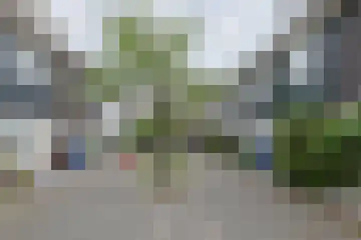 Betsy Perkstraat 16 Alphen aan den Rijn thumbnail 4