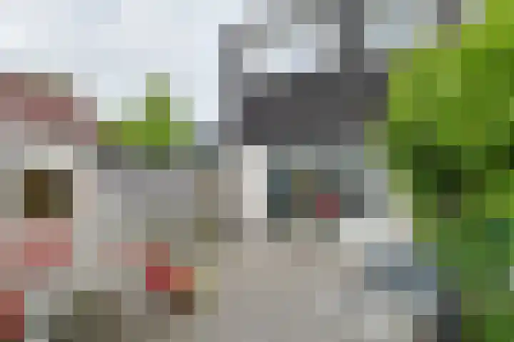 Betsy Perkstraat 16 Alphen aan den Rijn thumbnail 41