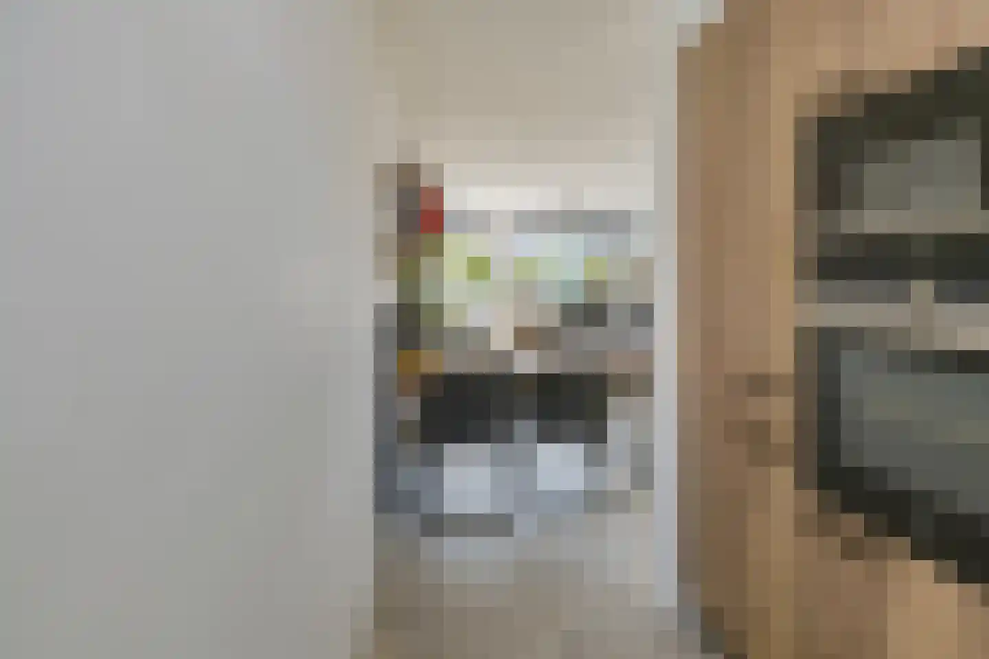 Betsy Perkstraat 17 Velserbroek thumbnail 17