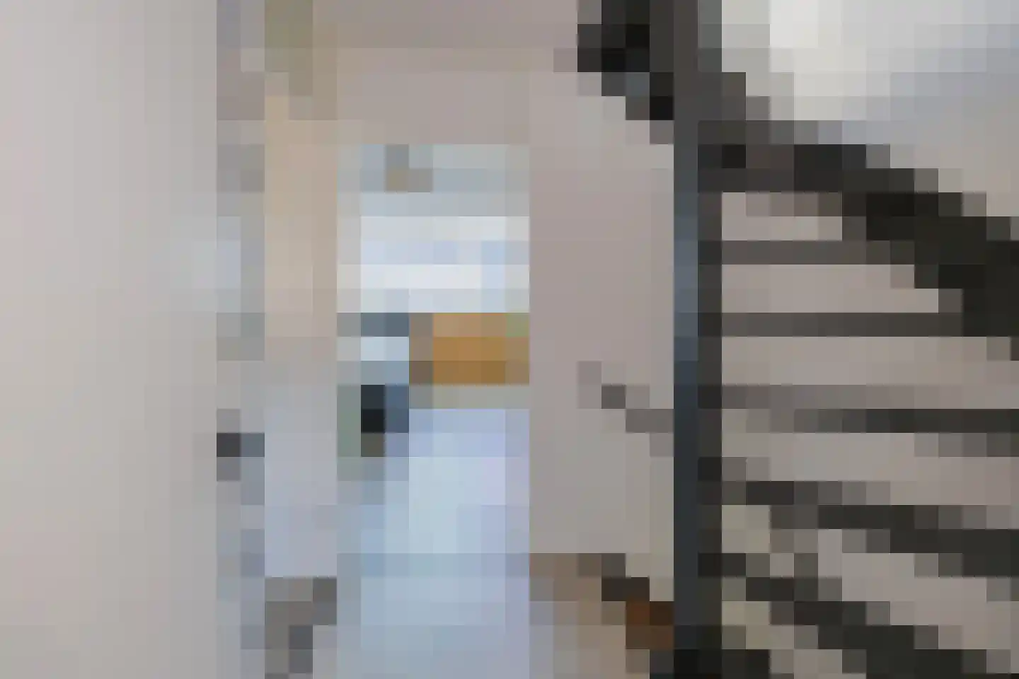 Betsy Perkstraat 17 Velserbroek thumbnail 39