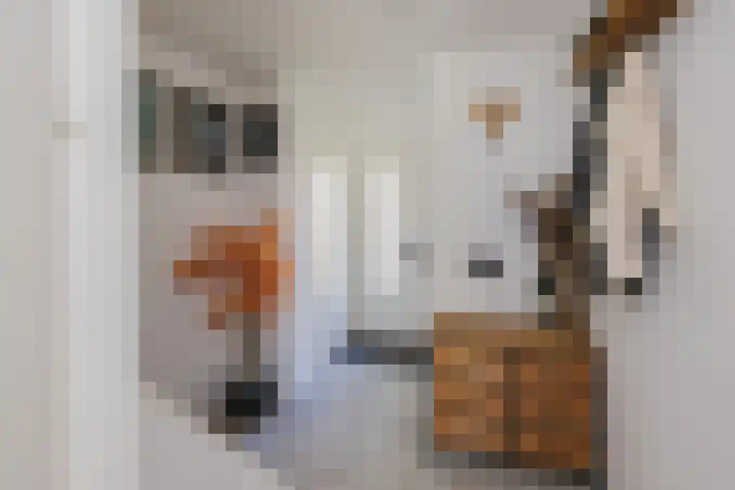 Betsy Perkstraat 17 Velserbroek thumbnail 9