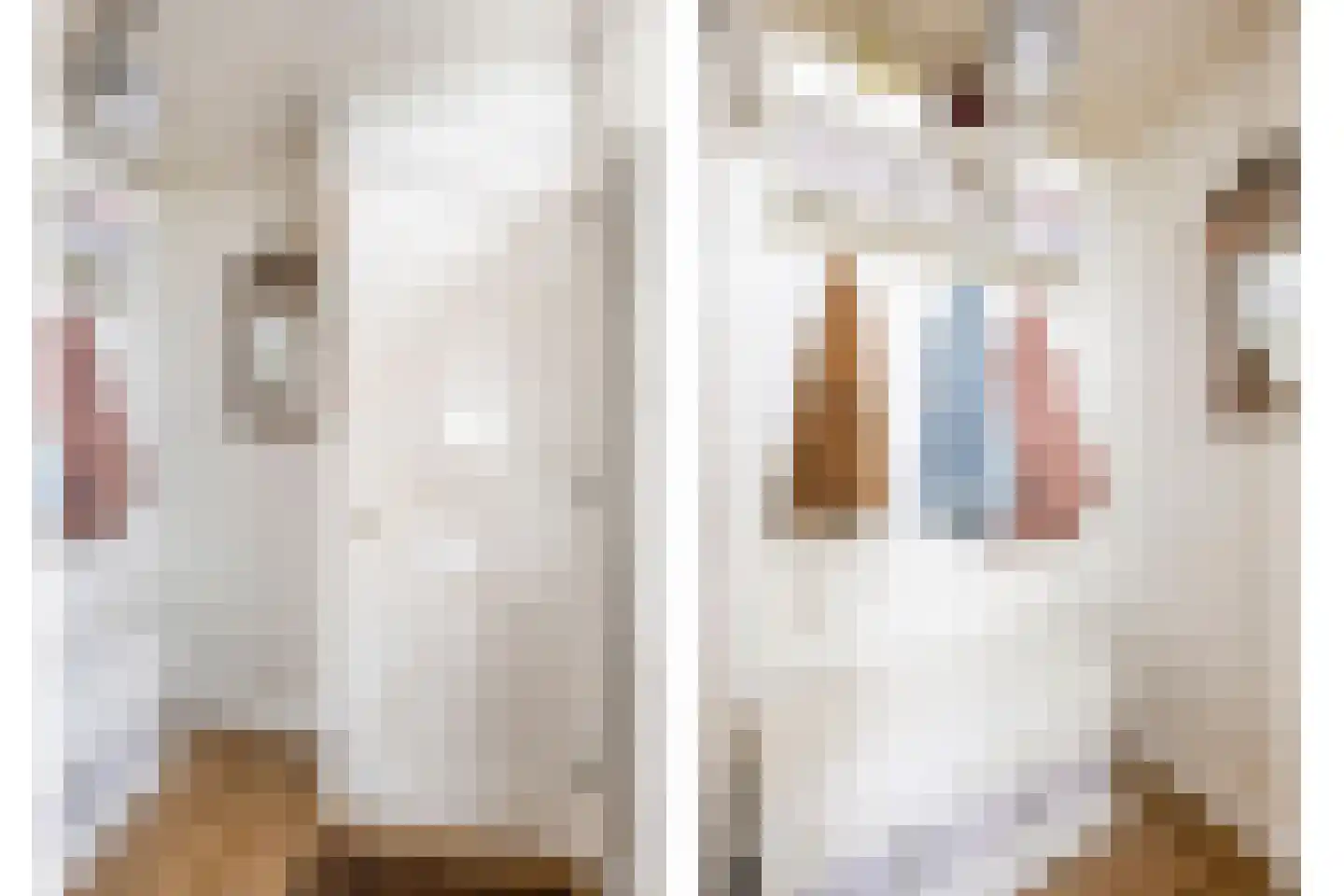 Betsy Perkstraat 2 Purmerend thumbnail 11