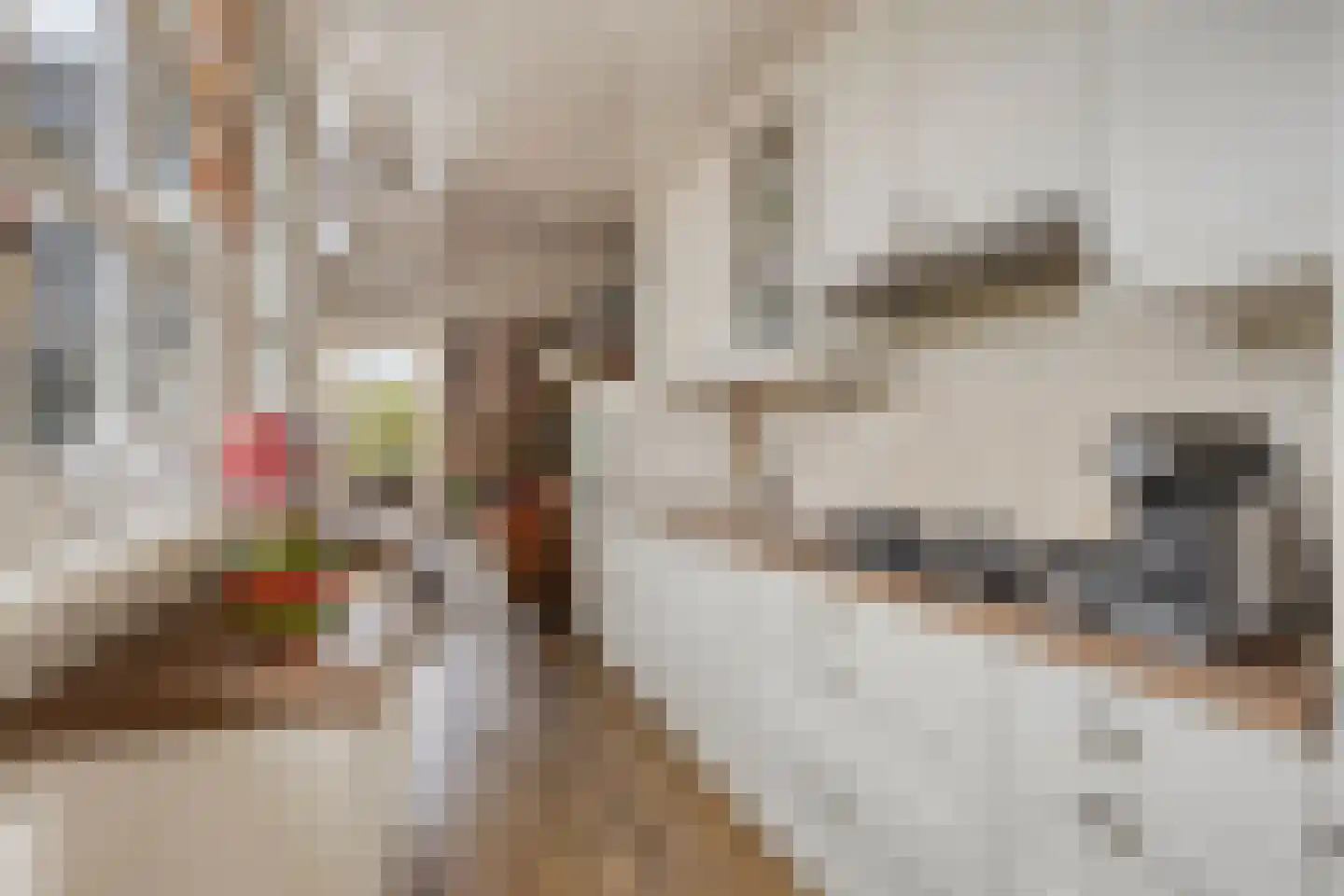 Betsy Perkstraat 2 Purmerend thumbnail 19