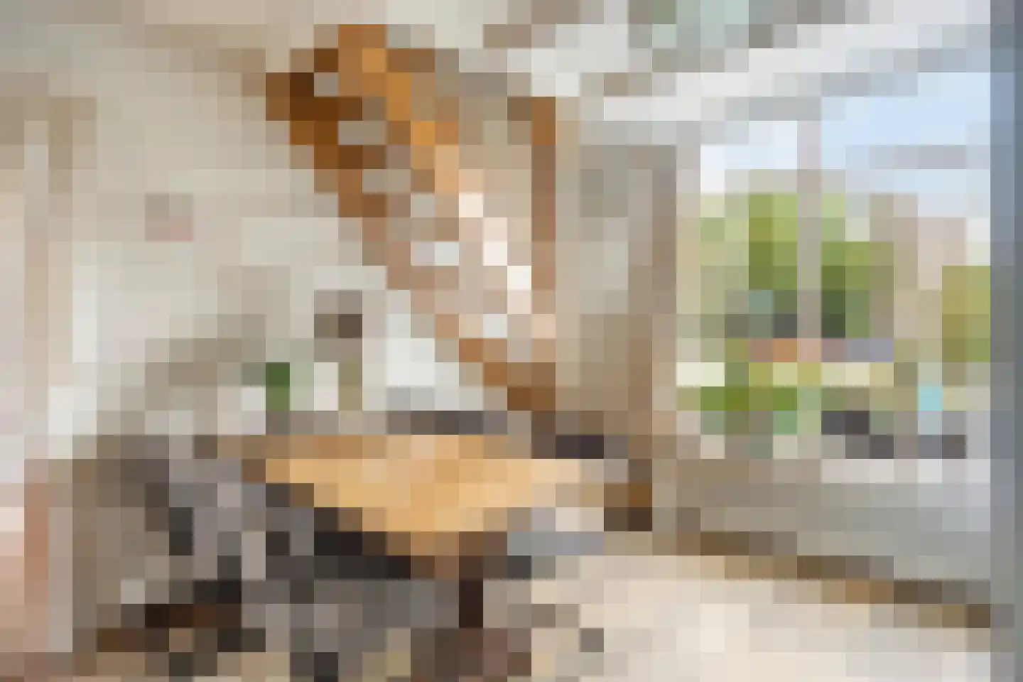 Betsy Perkstraat 2 Purmerend thumbnail 23