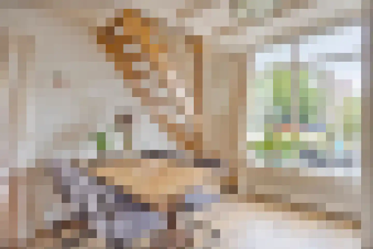 Betsy Perkstraat 2 Purmerend thumbnail 24