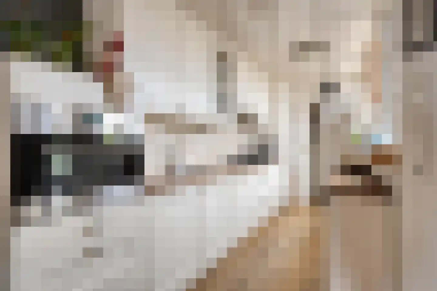 Betsy Perkstraat 2 Purmerend thumbnail 4