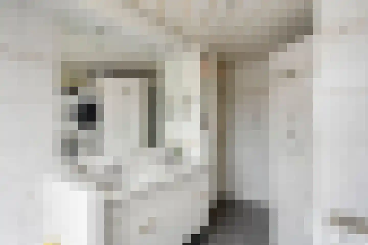 Betsy Perkstraat 2 Purmerend thumbnail 6