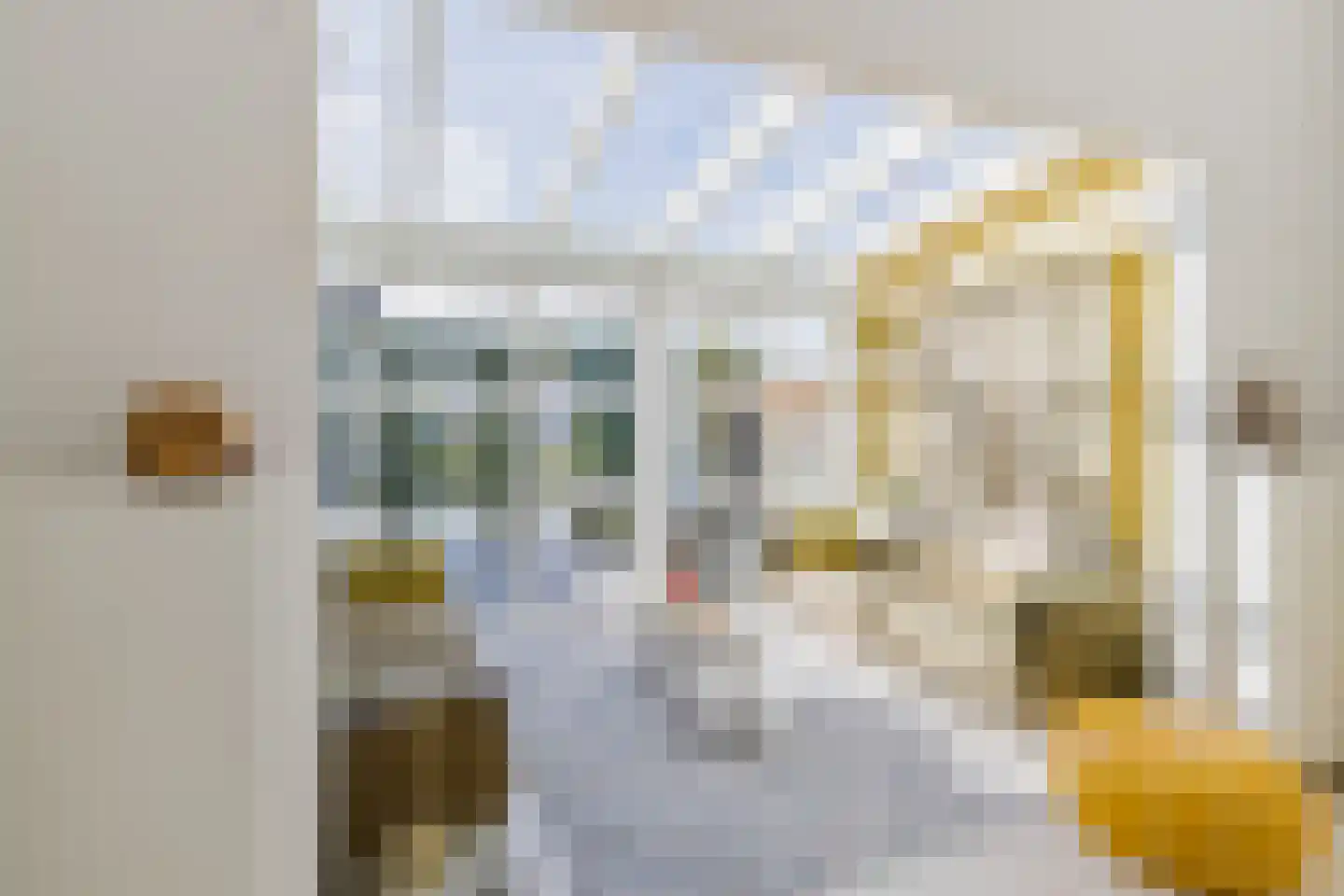 Betsy Perkstraat 29 Velserbroek thumbnail 25
