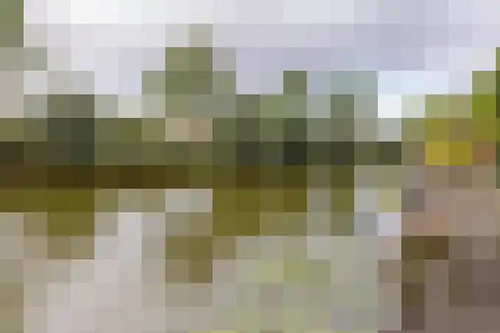 Betsy Perkstraat 39 Velserbroek thumbnail 4