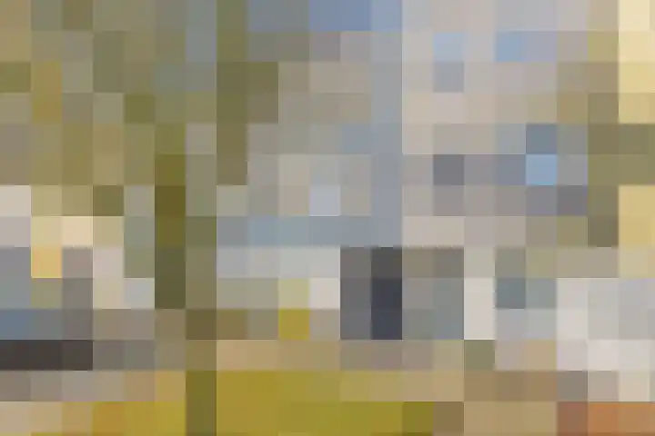 Betsy Perkstraat 45 Velserbroek thumbnail 6