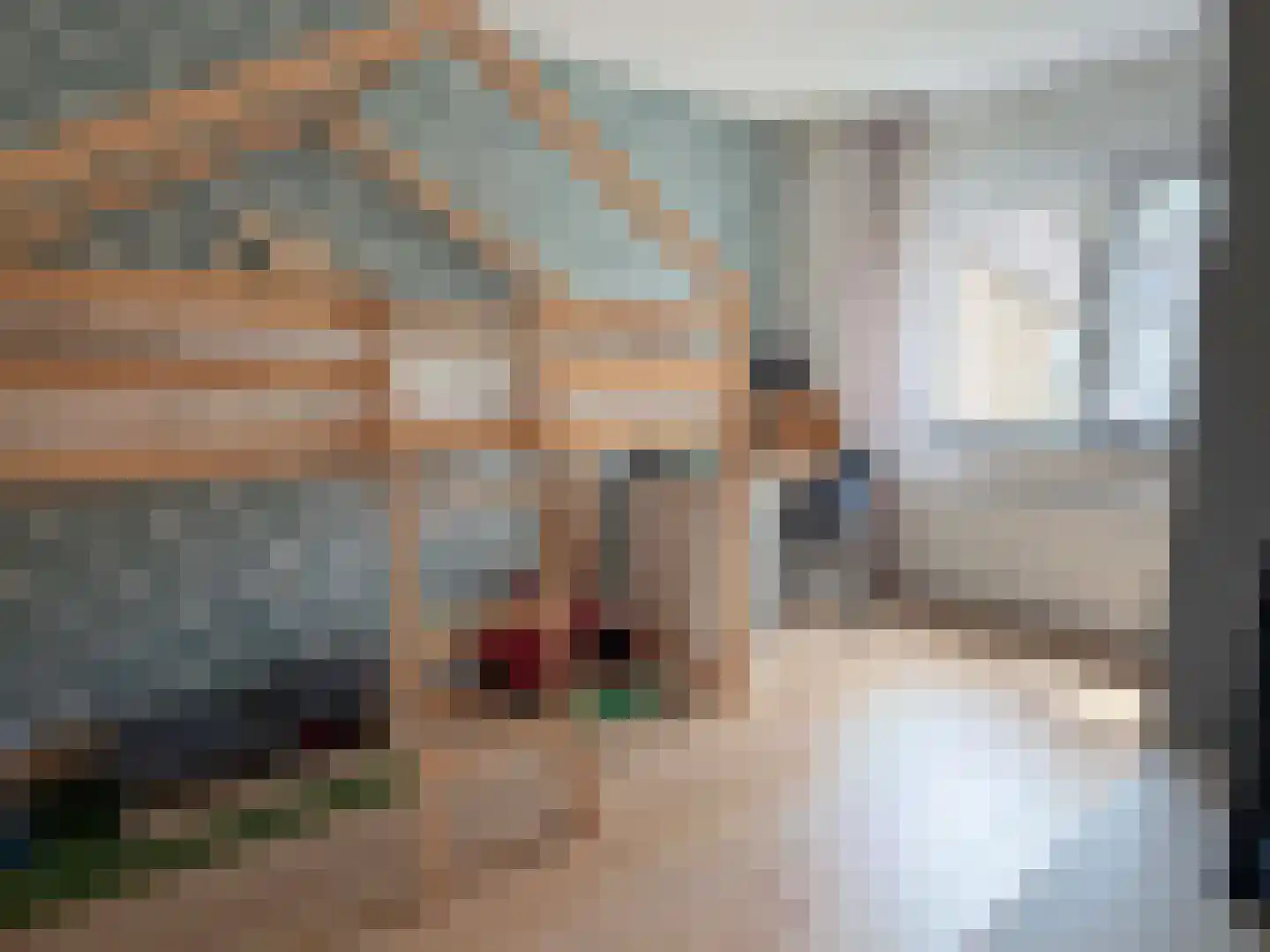 Betsy Trompetterstraat 15 Coevorden thumbnail 29