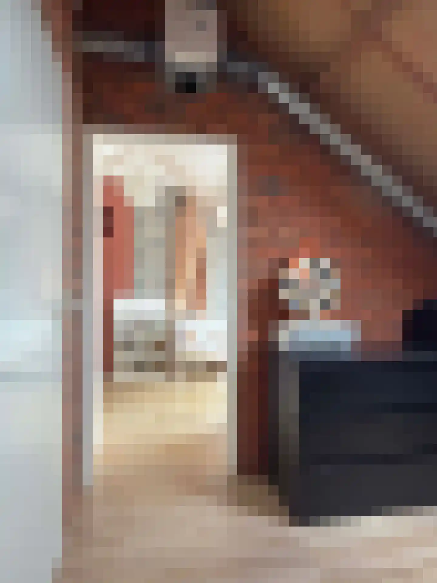 Betsy Trompetterstraat 15 Coevorden thumbnail 31