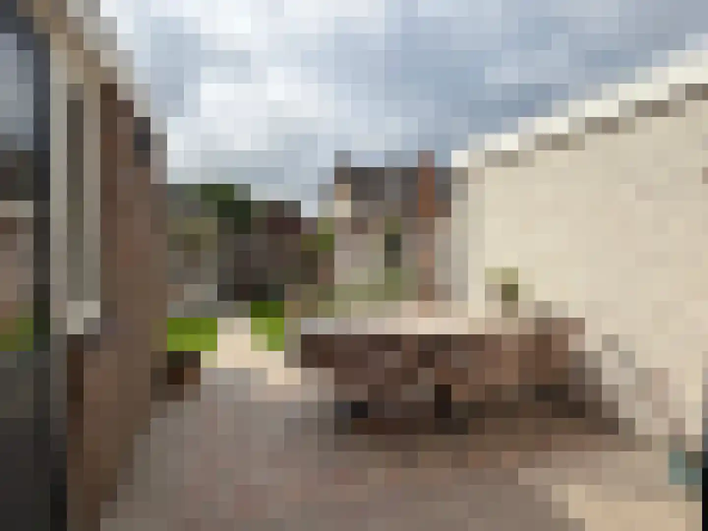 Betsy Trompetterstraat 15 Coevorden thumbnail 9