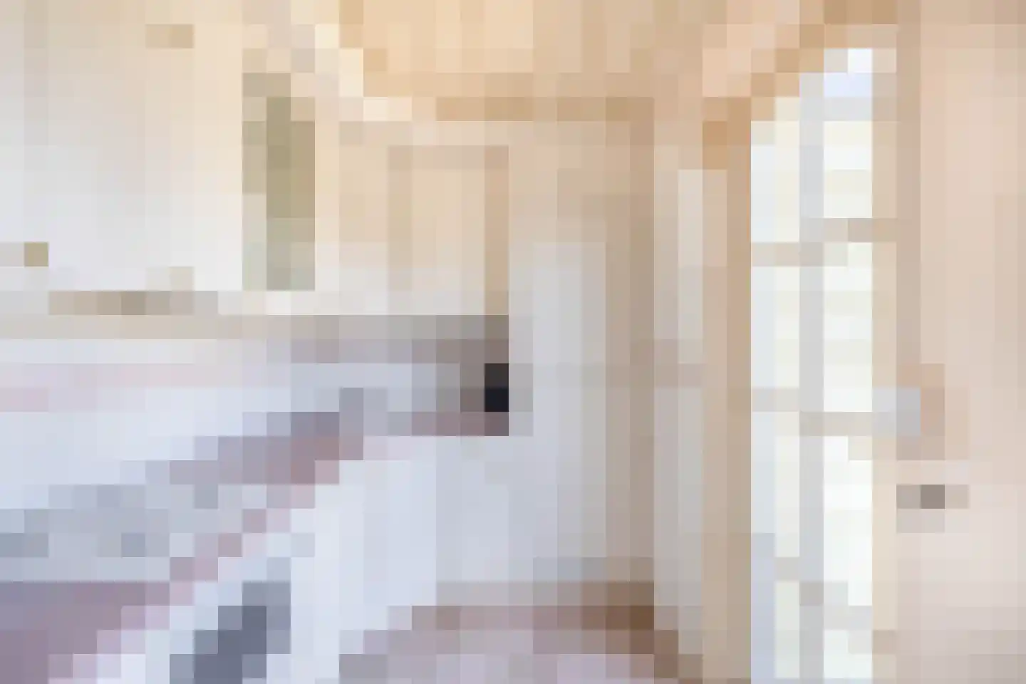 Betsy Westendorp-Osieckstraat 11 Spijkenisse thumbnail 18