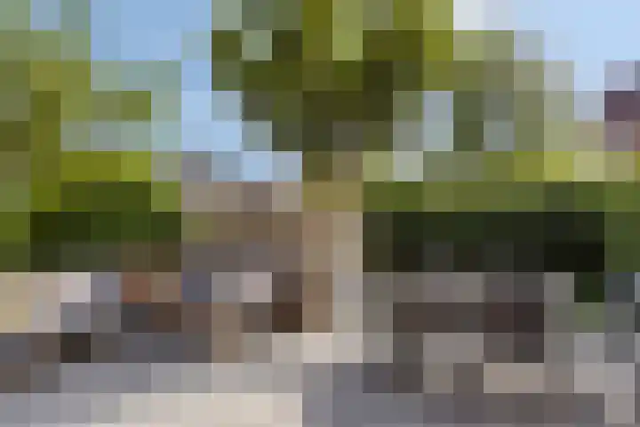 Betsy Westendorpstraat 1 Apeldoorn thumbnail 20