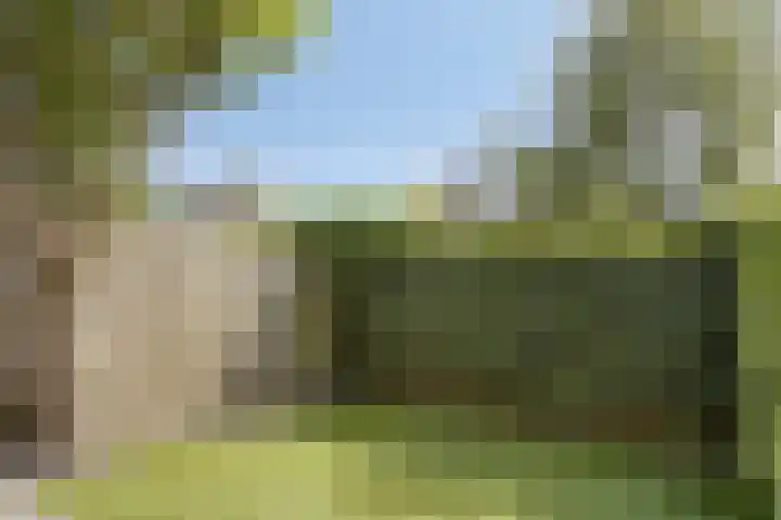 Betsy Westendorpstraat 1 Apeldoorn thumbnail 21