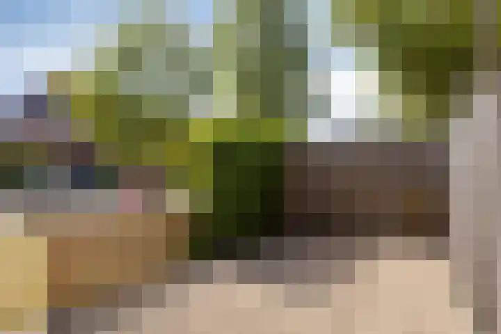 Betsy Westendorpstraat 1 Apeldoorn thumbnail 22