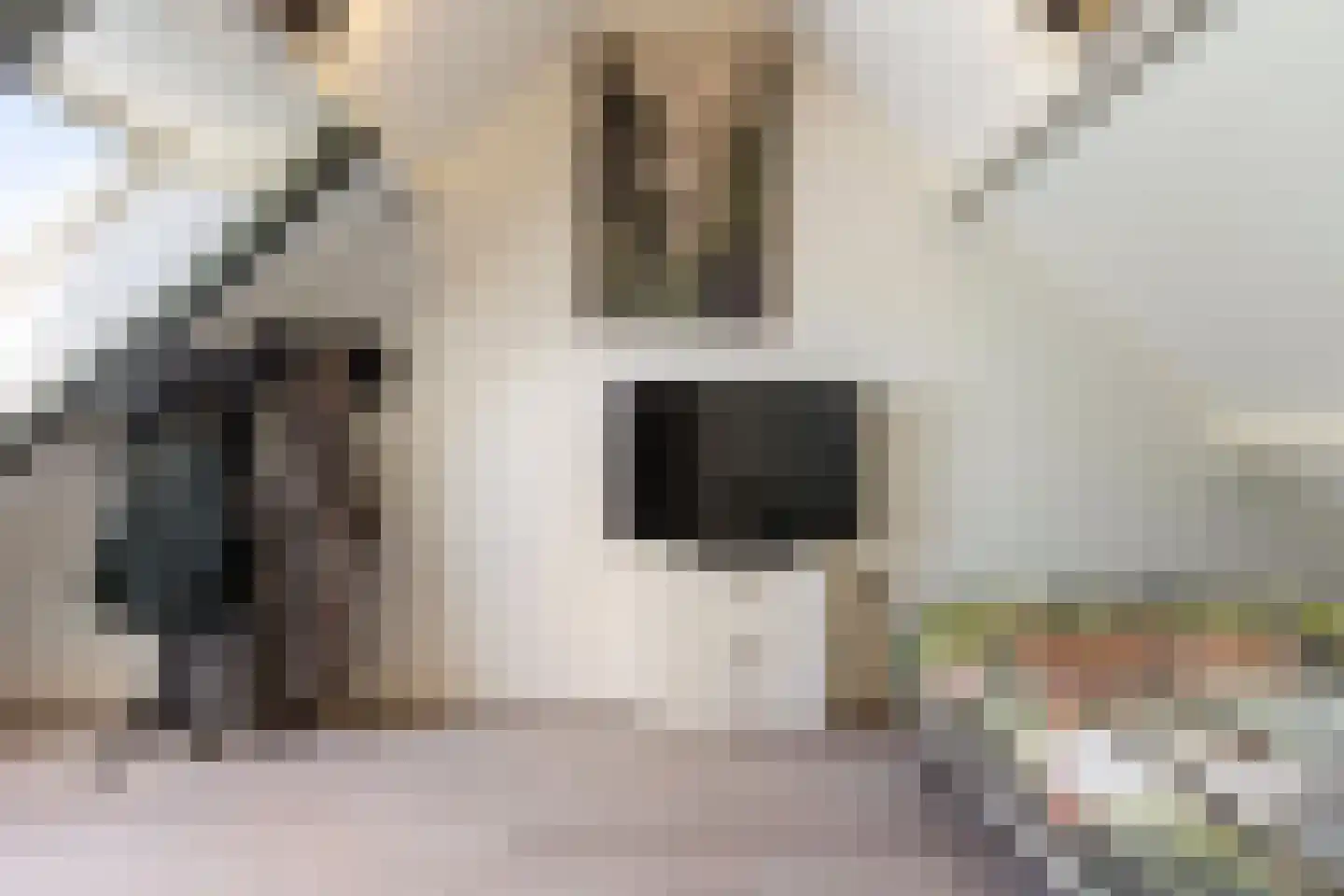 Betsy Westendorpstraat 21 Apeldoorn thumbnail 21