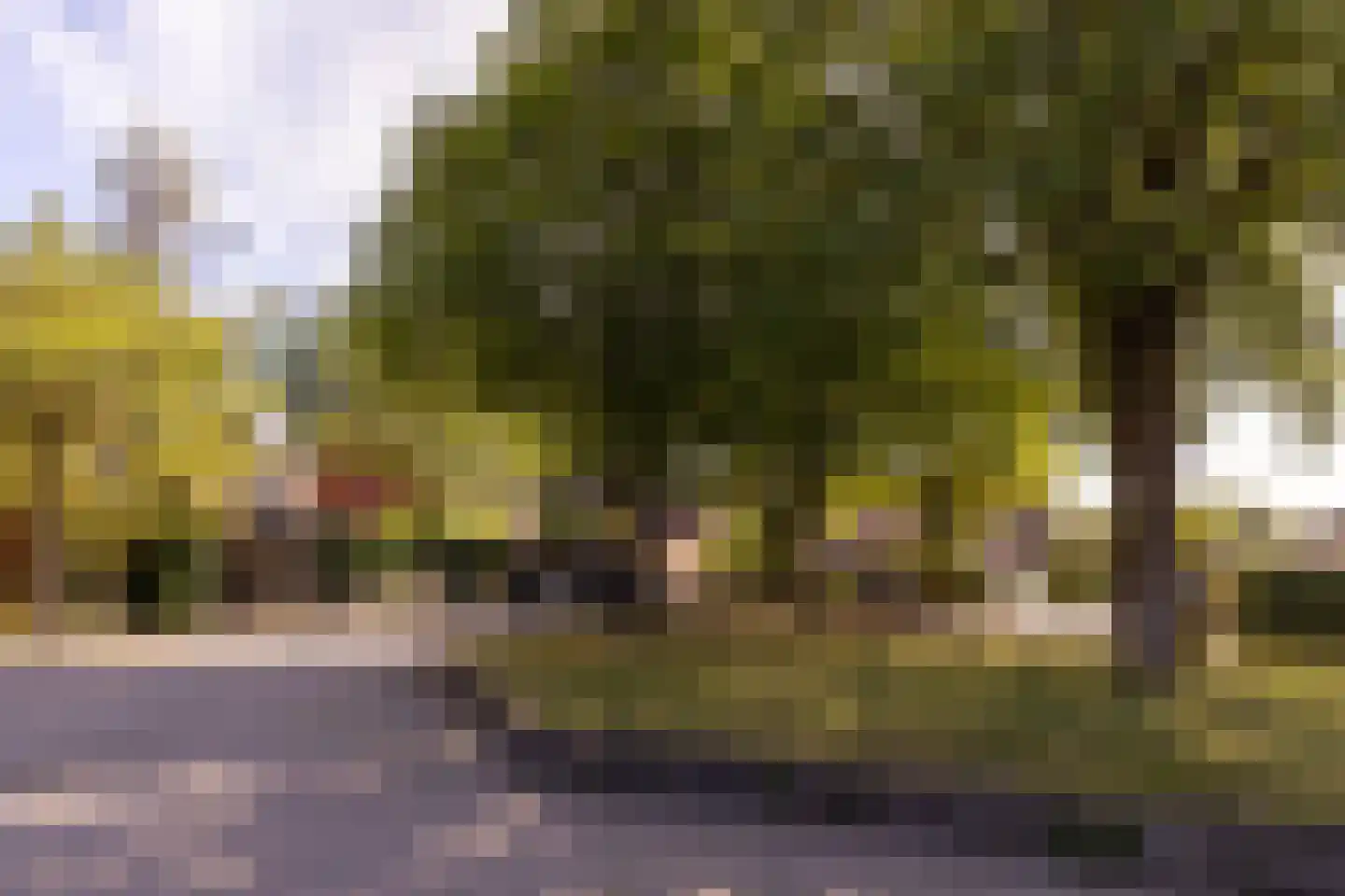 Betsy Westendorpstraat 31 Apeldoorn thumbnail 29