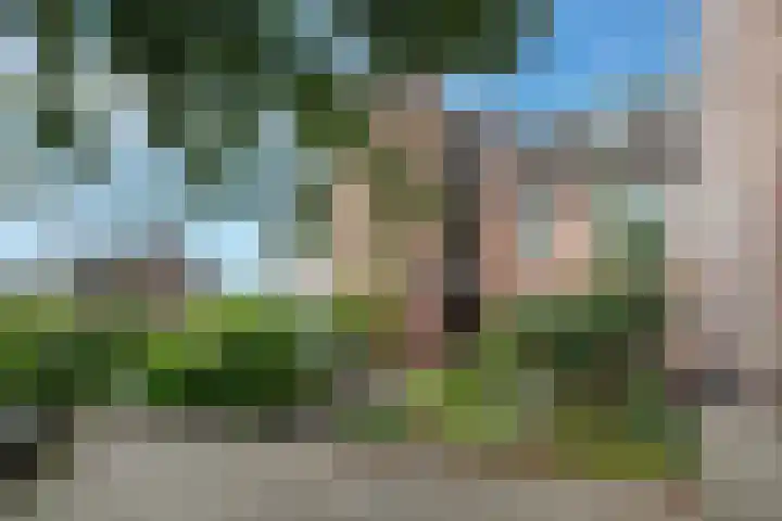 Betsy Westendorpstraat 35 Apeldoorn thumbnail 33