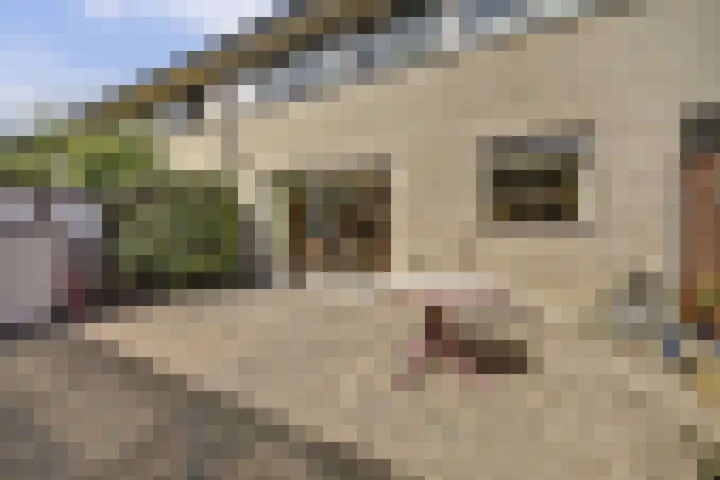 Bette Davisstraat 22 Almere thumbnail 43