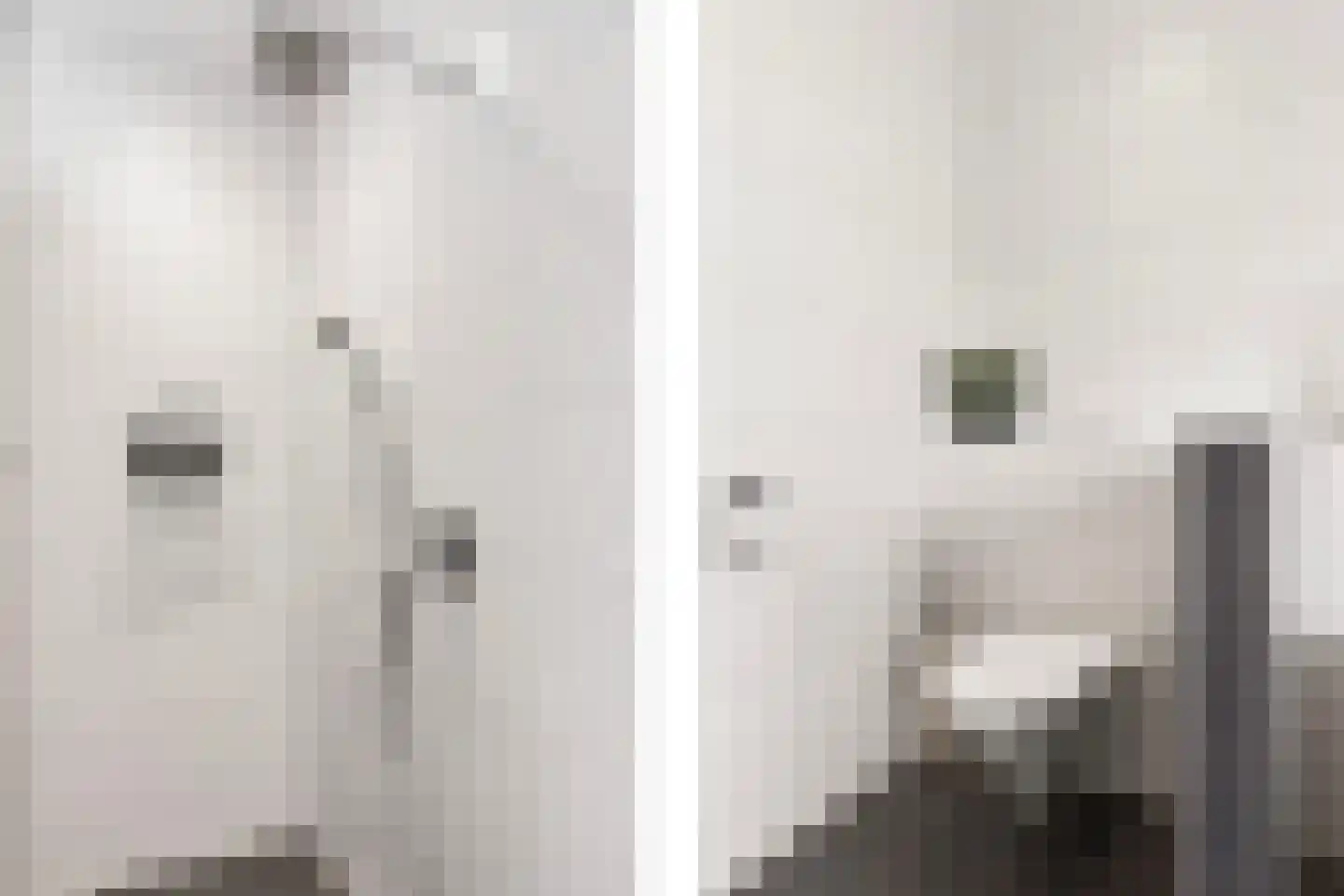 Bettekamp 19 B Ede thumbnail 24