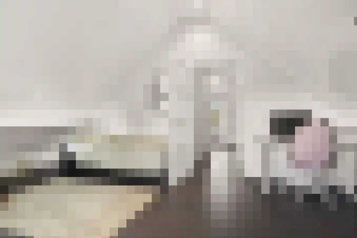 Bettekamp 19 B Ede thumbnail 29