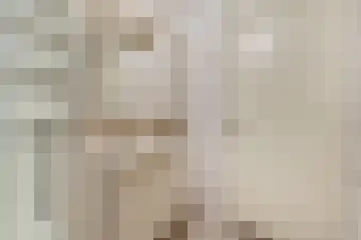 Bettekamp 3 E Ede thumbnail 20