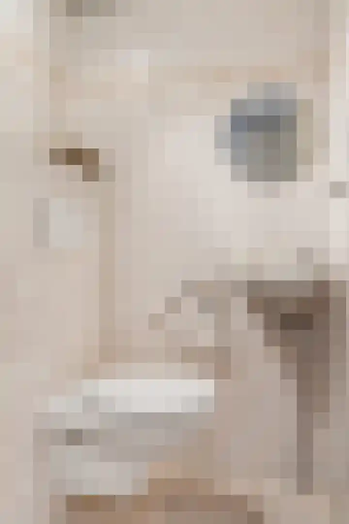 Bettekamp 3 E Ede thumbnail 23