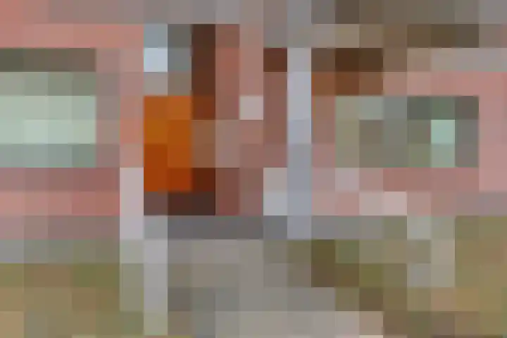 Bettekamp 3 E Ede thumbnail 31