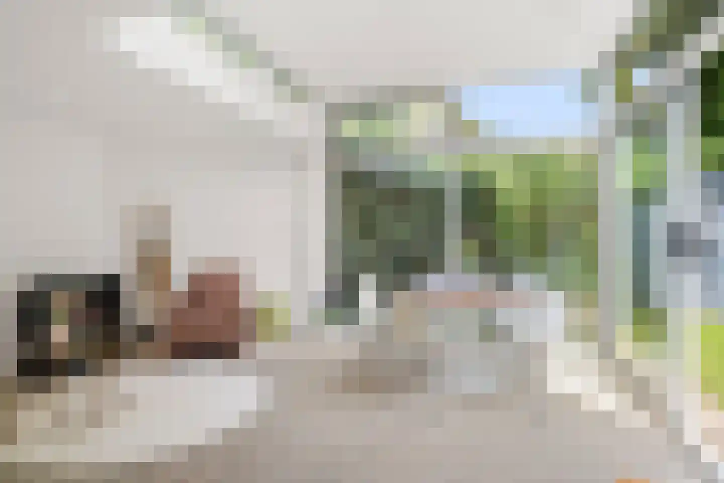 Bettekamp 4 A Ede thumbnail 40