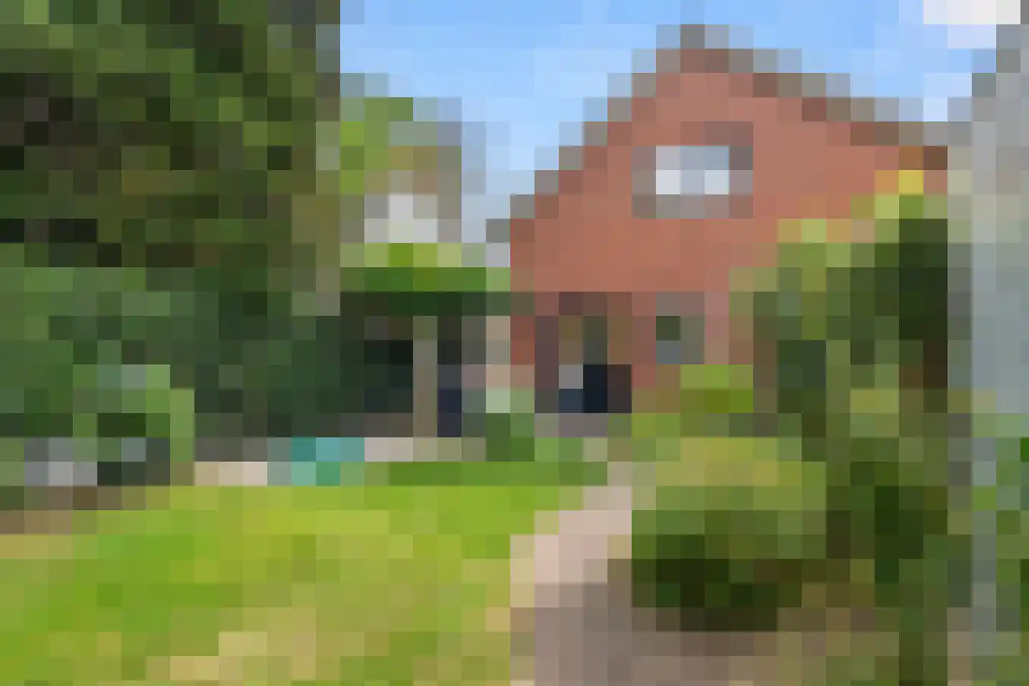 Bettekamp 4 A Ede thumbnail 42