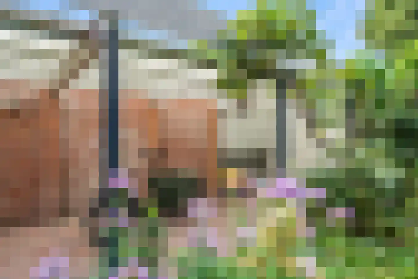 Bettekamp 4 A Ede thumbnail 45