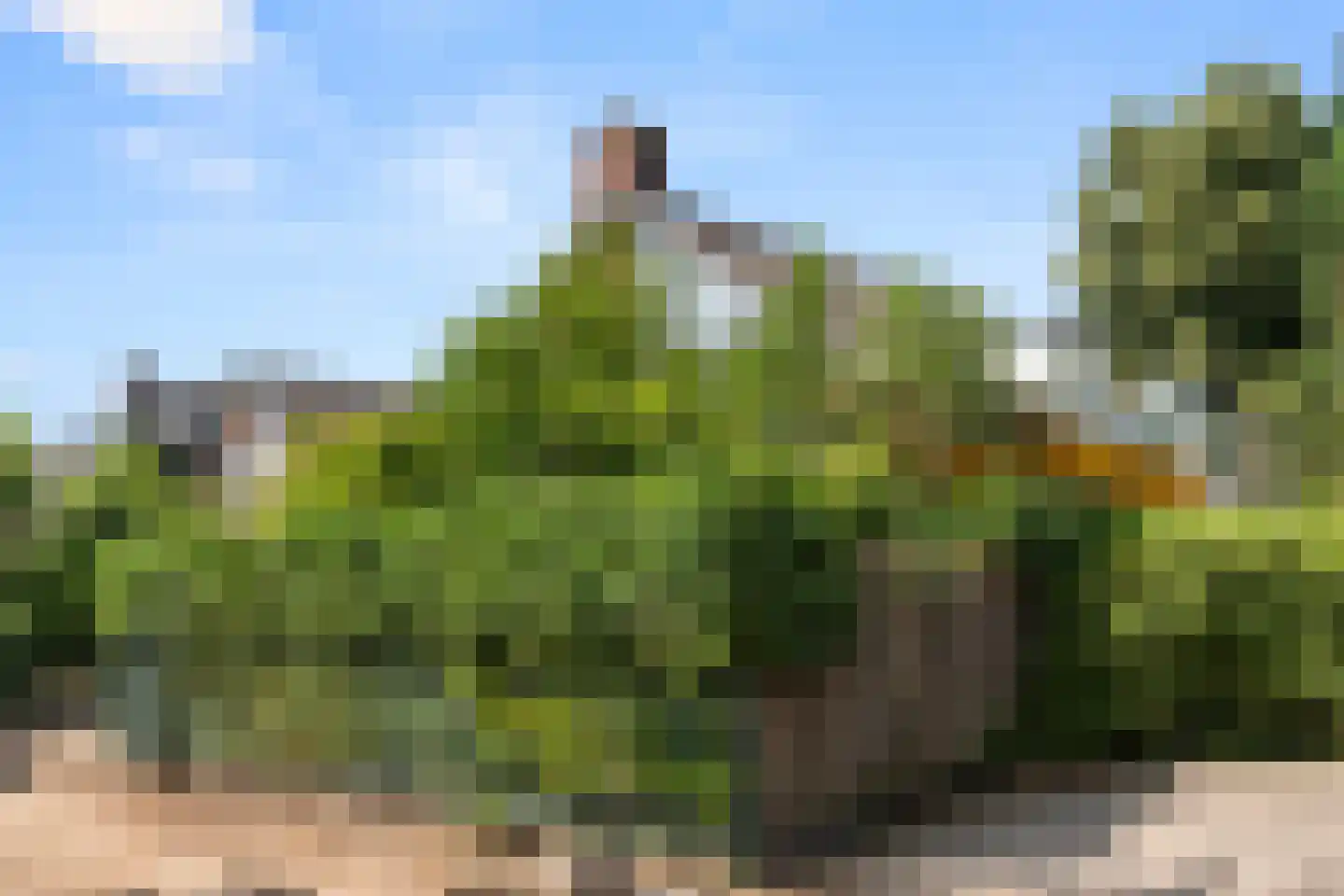 Bettekamp 4 A Ede thumbnail 48
