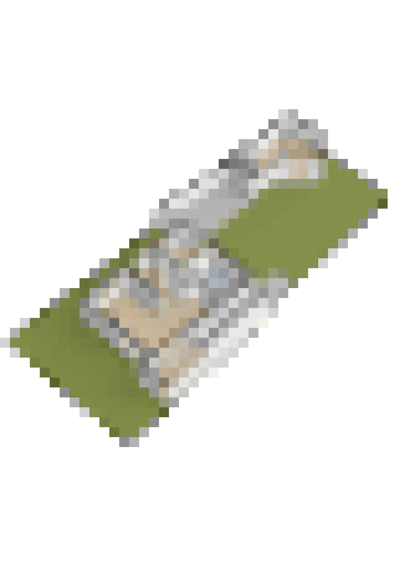 Bettekamp 4 A Ede thumbnail 58
