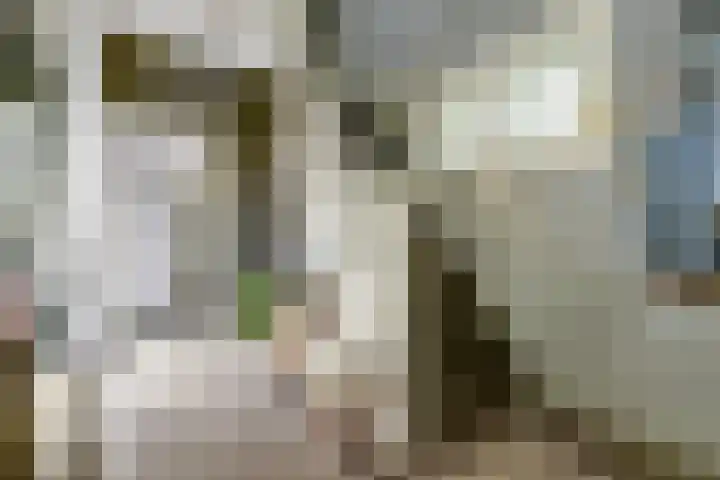 Bettekamp 51 Ede thumbnail 19