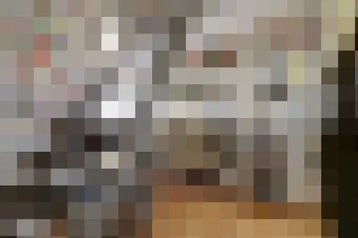 Bettekamp 51 Ede thumbnail 30
