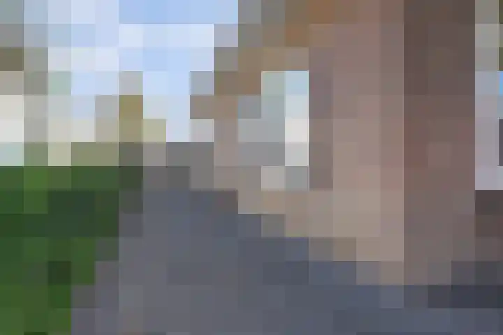 Bettekamp 51 Ede thumbnail 47