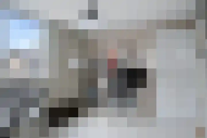 Bettekamp 66 Ede thumbnail 16