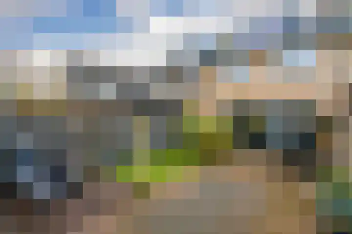 Bettekamp 66 Ede thumbnail 22