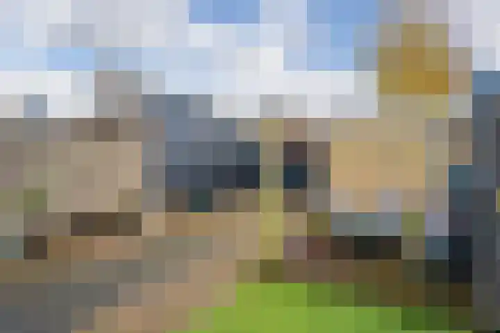 Bettekamp 66 Ede thumbnail 24