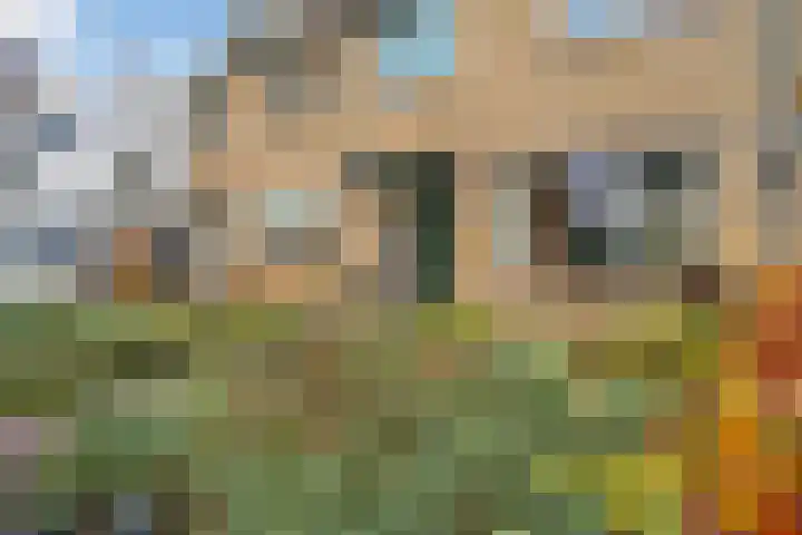 Bettekamp 66 Ede thumbnail 26