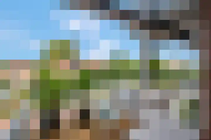 Bettekamp 7 C Ede thumbnail 20