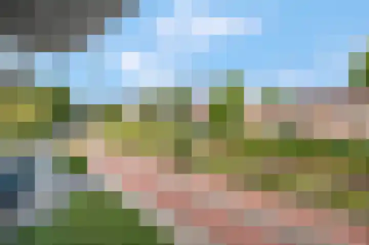 Bettekamp 7 C Ede thumbnail 21