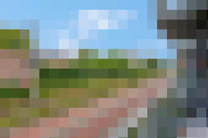 Bettekamp 7 C Ede thumbnail 22