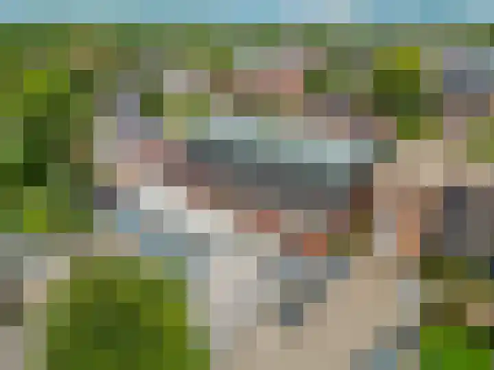 Bettekamp 7 C Ede thumbnail 37