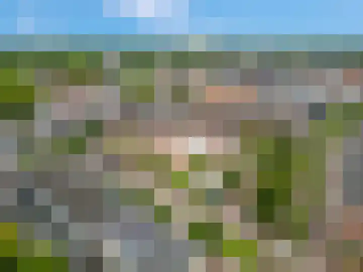 Bettekamp 7 C Ede thumbnail 38