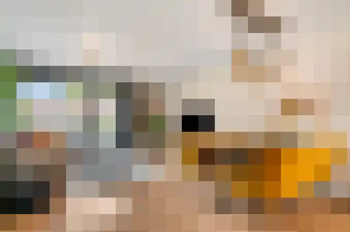 Bettekamp 7 C Ede thumbnail 4